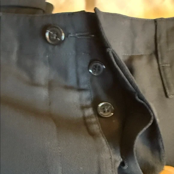 Zucca - Picture 3 of 16